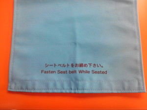 茨城交通　グランテックス水色